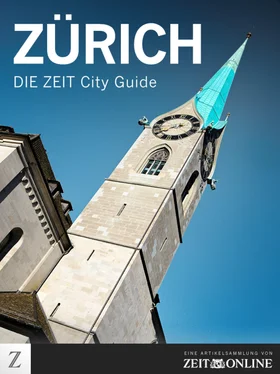 ZEIT ONLINE Zürich обложка книги