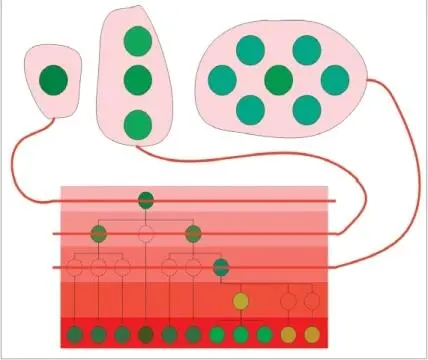 Abb 6 Horizontale Schnitte durch das geschachtelte System aus Abbildung 5 - фото 8