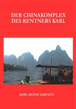 Karl-Heinz Garnitz Der Chinakomplex des Rentners Karl обложка книги