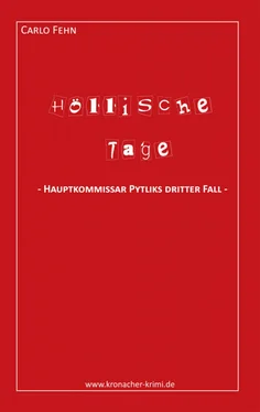 Carlo Fehn Höllische Tage обложка книги