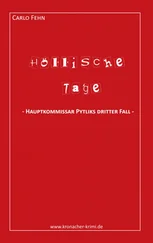 Carlo Fehn - Höllische Tage