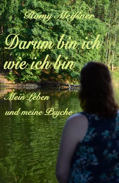 Romy Meißner Darum bin ich wie ich bin обложка книги