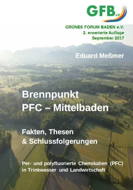 Eduard Meßmer Brennpunkt PFC - Mittelbaden обложка книги