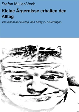 Stefan Müller-Veeh Kleine Ärgernisse erhalten den Alltag обложка книги