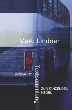 Marc Lindner Busfahrt - Zur tanzenden Kegel обложка книги