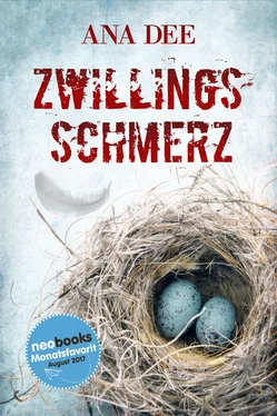 Ana Dee Zwillingsschmerz обложка книги