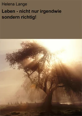 Helena Lange Leben - nicht nur irgendwie sondern richtig! обложка книги