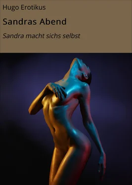 Hugo Erotikus Sandras Abend обложка книги