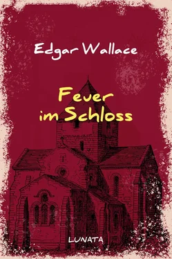 Edgar Wallace Feuer im Schloss обложка книги