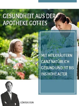 Gunter Stein Gesundheit aus der Apotheke Gottes обложка книги