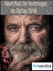 Alessandro Dallmann - Die Verwirrungen des Zöglings Törleß