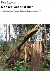 Felix Sobotta - Mensch was tust Du?