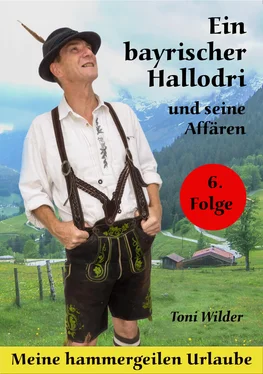 Toni Wilder Ein Bayerischer Hallodri und seine Affären Band 6 обложка книги