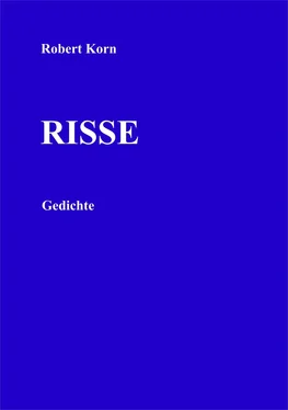 Robert Korn Risse обложка книги