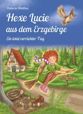 Roberto Matthes Hexe Lucie aus dem Erzgebirge обложка книги