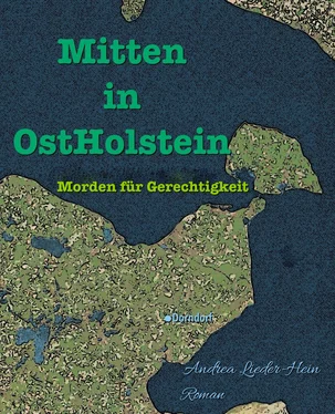 Andrea Lieder-Hein Mitten in OstHolstein обложка книги