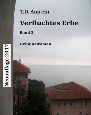 T.D. Amrein Verfluchtes Erbe обложка книги