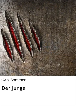 Gabi Sommer Der Junge обложка книги