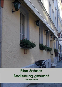 Elisa Scheer Bedienung gesucht обложка книги