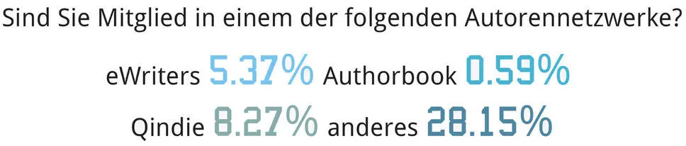 Frage 29 Wie vermarkten Sie Ihr Buch Nach Frage 21 betrachten die - фото 27