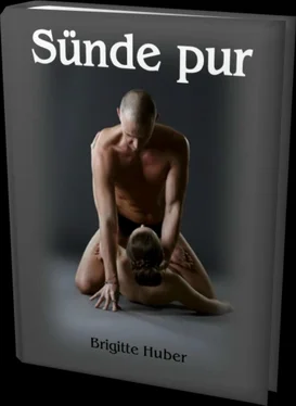 Brigitte Huber Sünde pur - 122 Seiten обложка книги