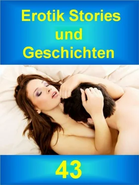 Gabriele Sommer Erotik Stories und Geschichten 43 обложка книги