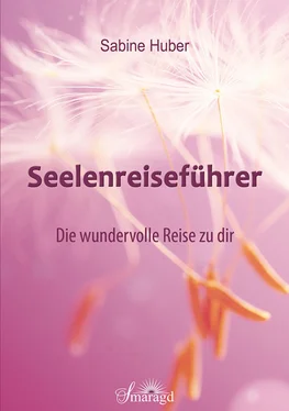 Sabine Huber Seelenreiseführer обложка книги