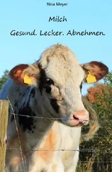 Nina Meyer - Milch. Gesund. Lecker. Abnehmen.