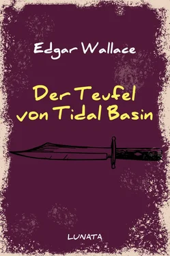 Edgar Wallace Der Teufel von Tidal Basin обложка книги