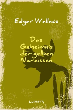 Edgar Wallace Das Geheimnis der gelben Narzissen обложка книги