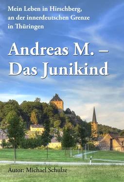 Michael Schulze Andreas M. - Das Junikind обложка книги