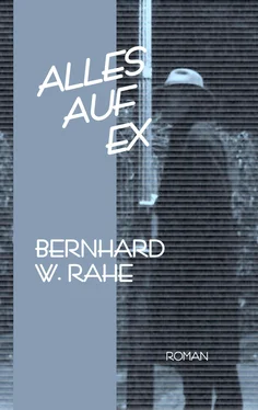 Bernhard W. Rahe Alles auf ex обложка книги