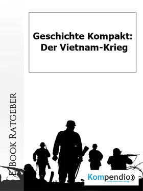 Daniela Nelz Der Vietnam-Krieg обложка книги