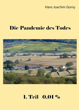 Hans Joachim Gorny Die Pandemie des Todes обложка книги