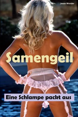 Sonja Gugel Samengeil обложка книги