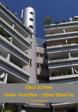 Elisa Scheer Gute Vorsätze – böse Streiche обложка книги