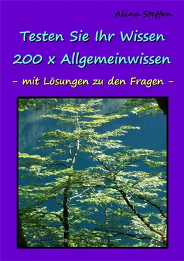 Alina Steffen Testen Sie Ihr Wissen - 200 x Allgemeinwissen обложка книги