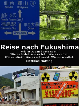 Matthias Matting Reise nach Fukushima обложка книги