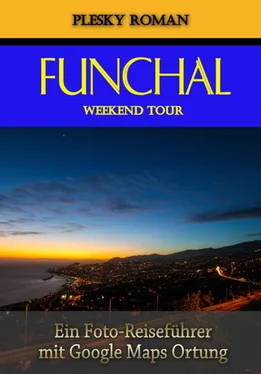 Roman Plesky Funchal Weekend Tour обложка книги