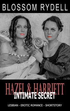 Blossom Rydell Hazel & Harriett - Intimate Secret обложка книги