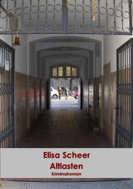 Elisa Scheer Altlasten обложка книги
