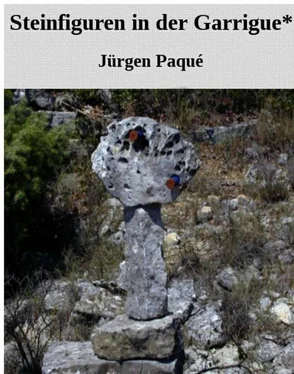 Jürgen Paqué Steinfiguren in der Garrigue обложка книги