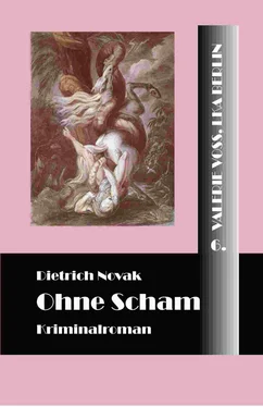 Dietrich Novak Ohne Scham обложка книги