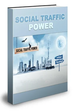 Thomas Skirde Social Traffic Power обложка книги