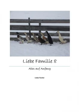 Linda Fischer Liebe Familie 8 обложка книги