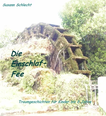Susann Schlecht Die Einschlaf-Fee обложка книги