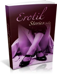 Veronika Schrembs - Erotik ebook 2