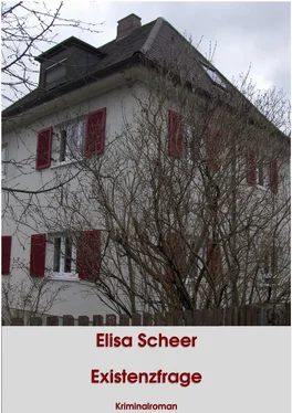 Elisa Scheer Existenzfrage обложка книги