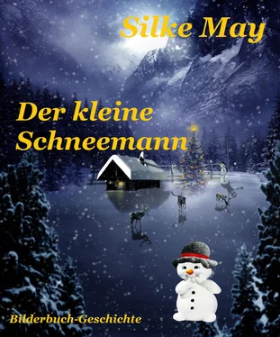 Silke May Der kleine Schneemann обложка книги