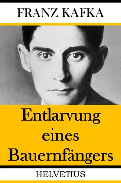 Franz Kafka Entlarvung eines Bauernfängers обложка книги
